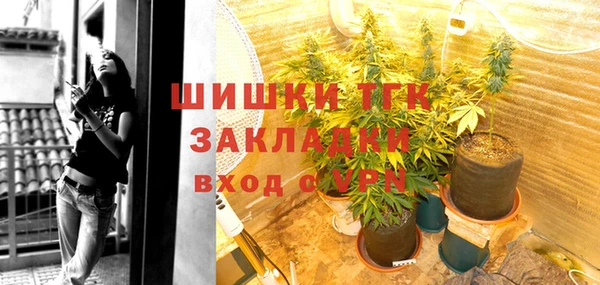 шишки Медногорск