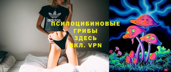 амф Аркадак