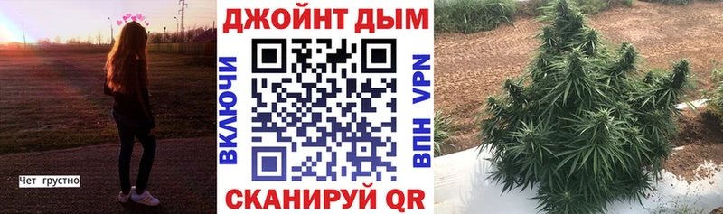даркнет сайт  Дегтярск  Шишки марихуана Ganja 